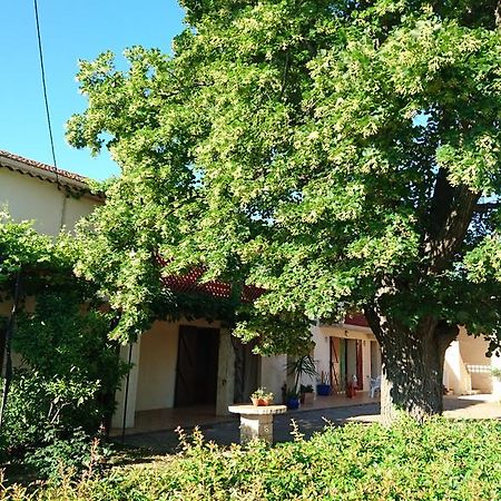 Les Prairies Mas Roux Guest House Raphele Ngoại thất bức ảnh