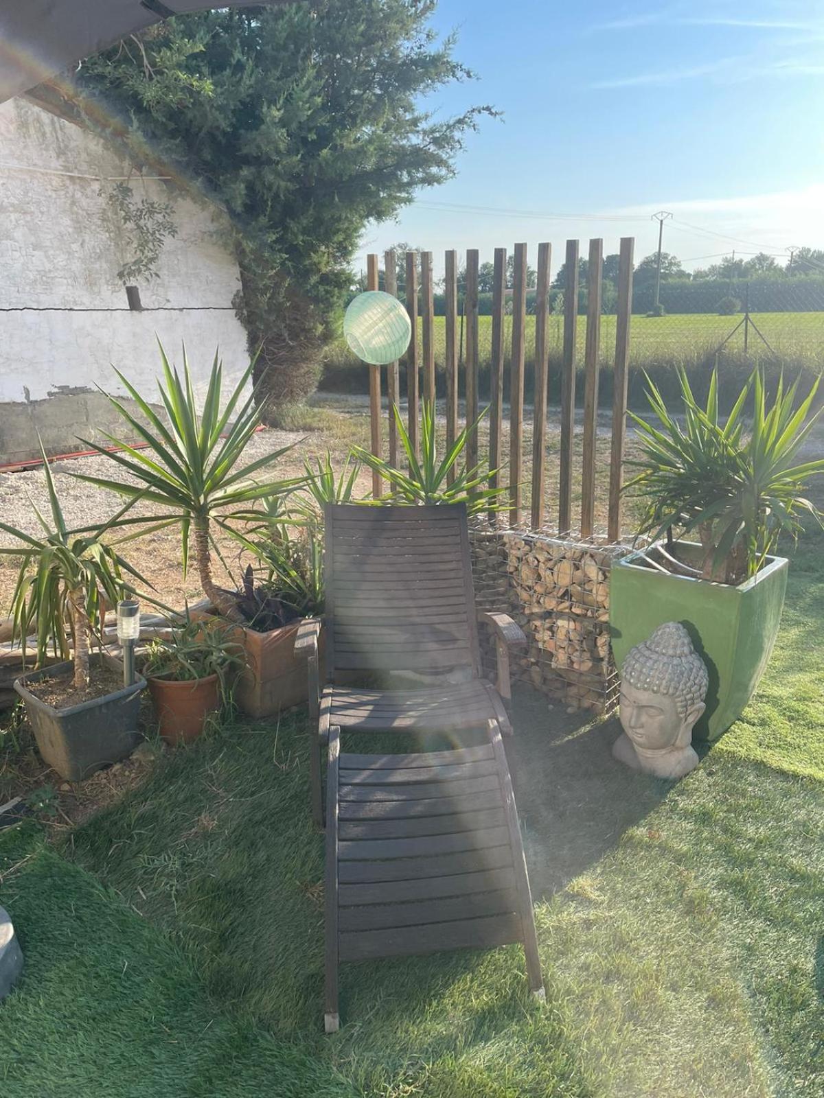 Les Prairies Mas Roux Guest House Raphele Phòng bức ảnh