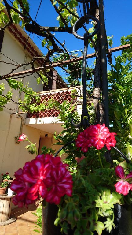 Les Prairies Mas Roux Guest House Raphele Ngoại thất bức ảnh